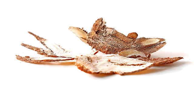 dziegiel chinski bio hurt